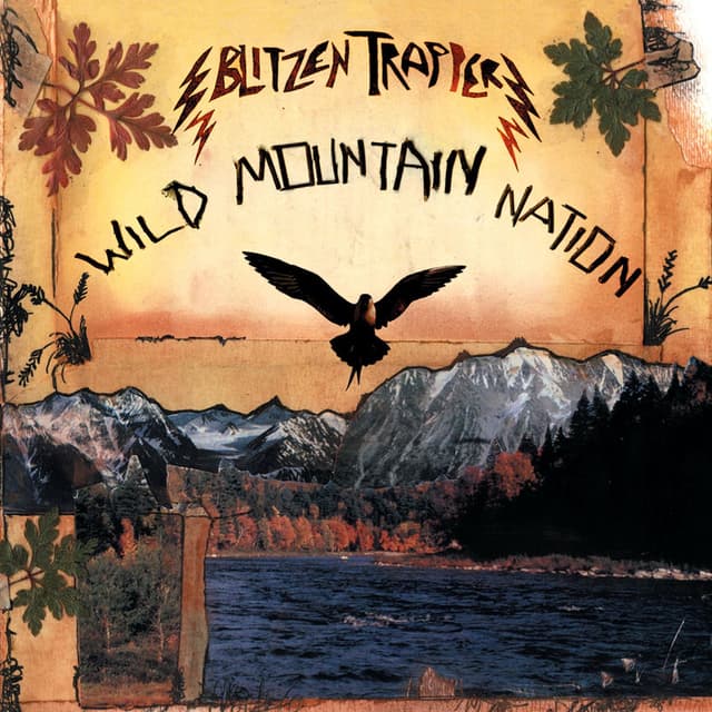 Wild Mountain Nation album cover