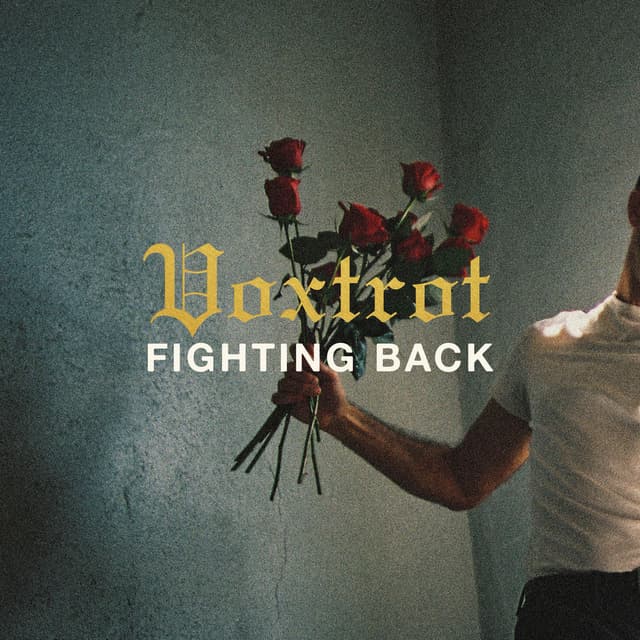 Fighting Back cover