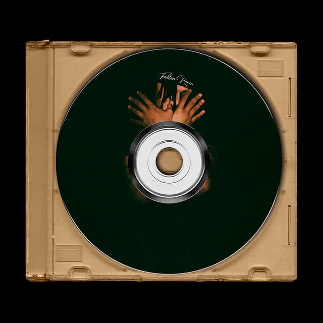 FALLEN RAVEN (Sped Up) cover