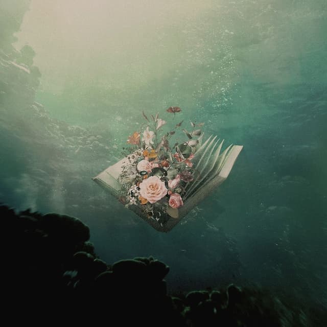 Urban Flora: Lost Sequels cover
