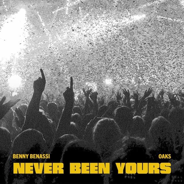 Never Been Yours album cover