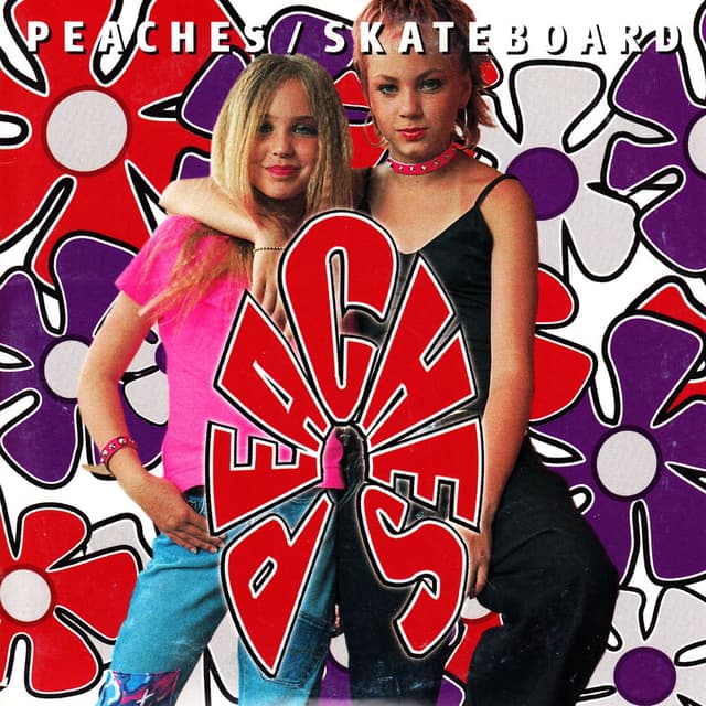 Skateboard cover