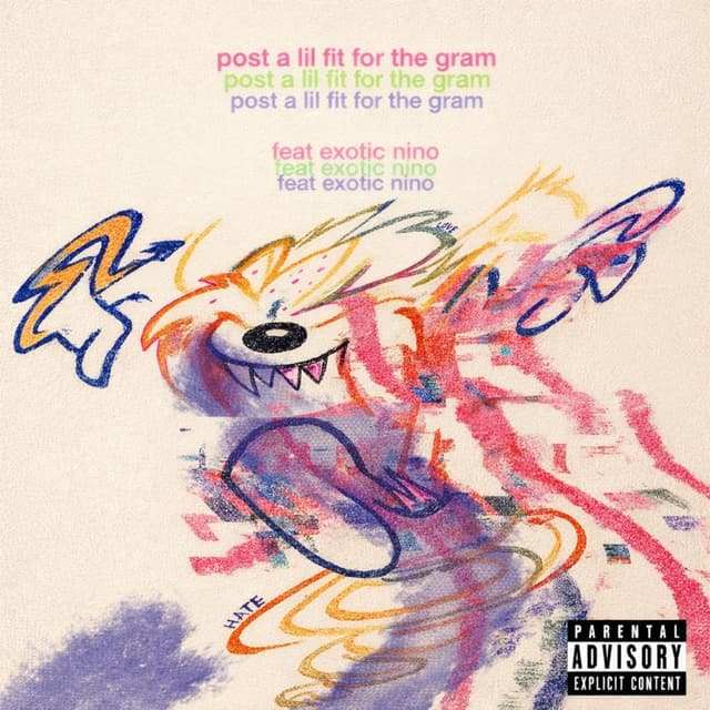 post a lil fit on the gram cover