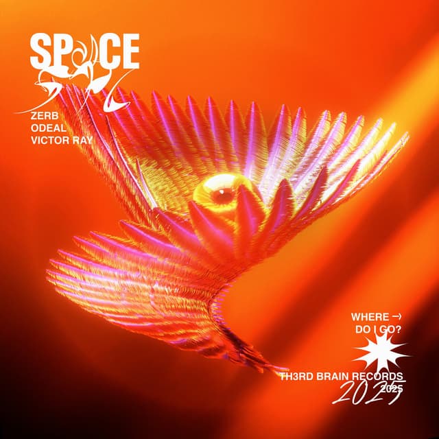 Space cover