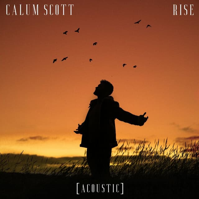 Rise (Acoustic) cover