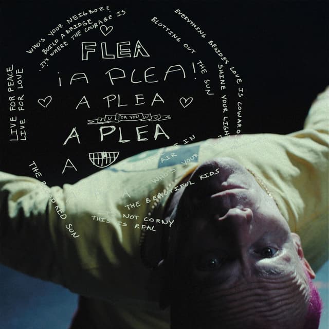 A Plea cover