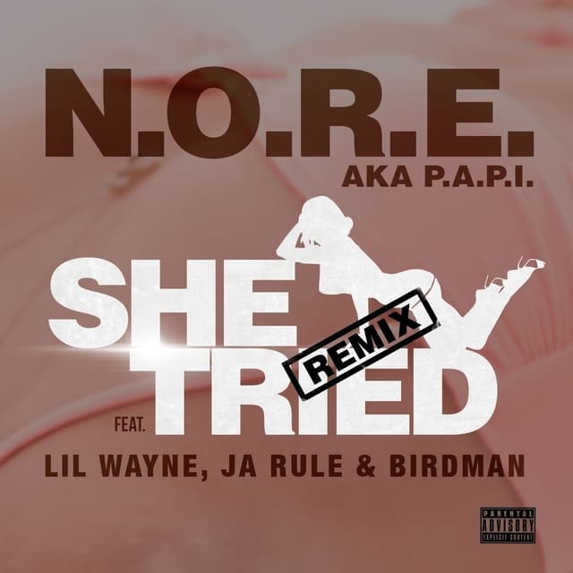 She Tried (feat. Lil Wayne, Ja Rule & Birdman) - Single cover
