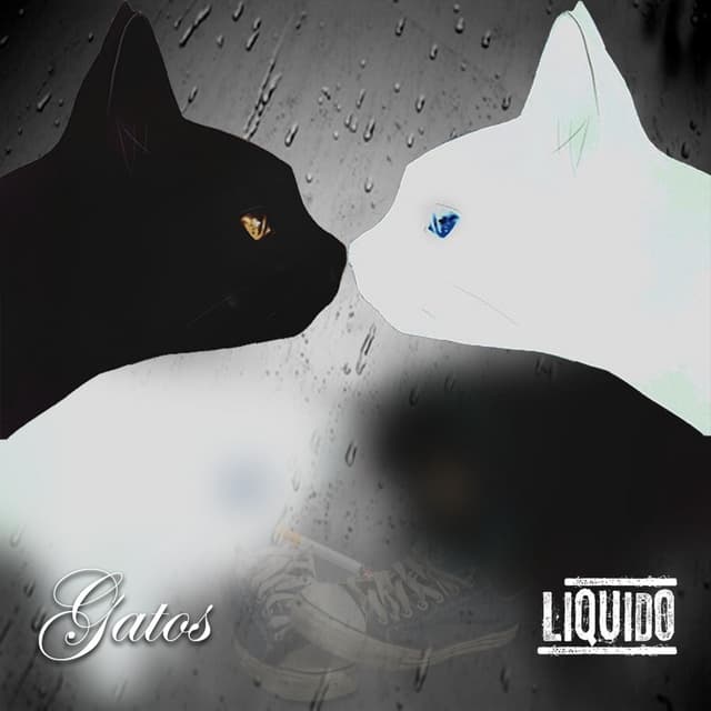 Gatos cover