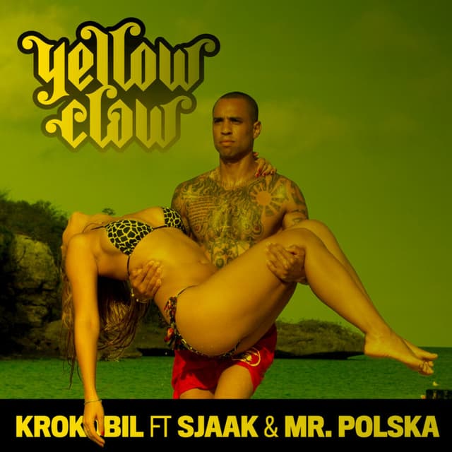 Krokobil cover