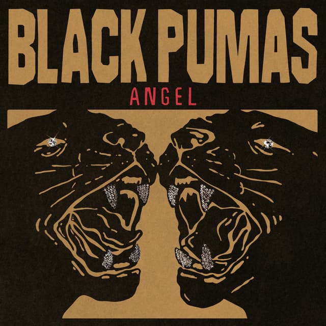 Angel cover