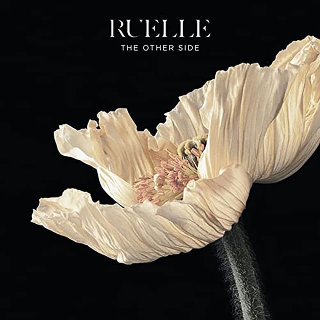 The Other Side cover