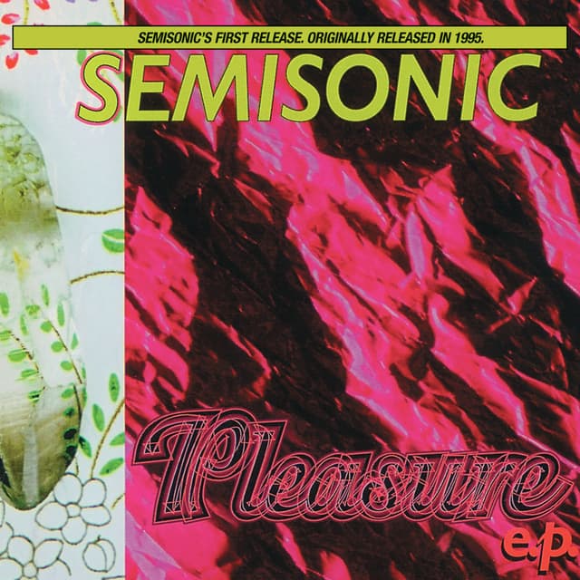 Pleasure E.P. cover