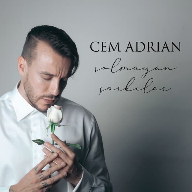 Solmayan Şarkılar cover