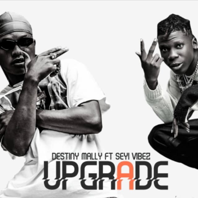 UPGRADE cover