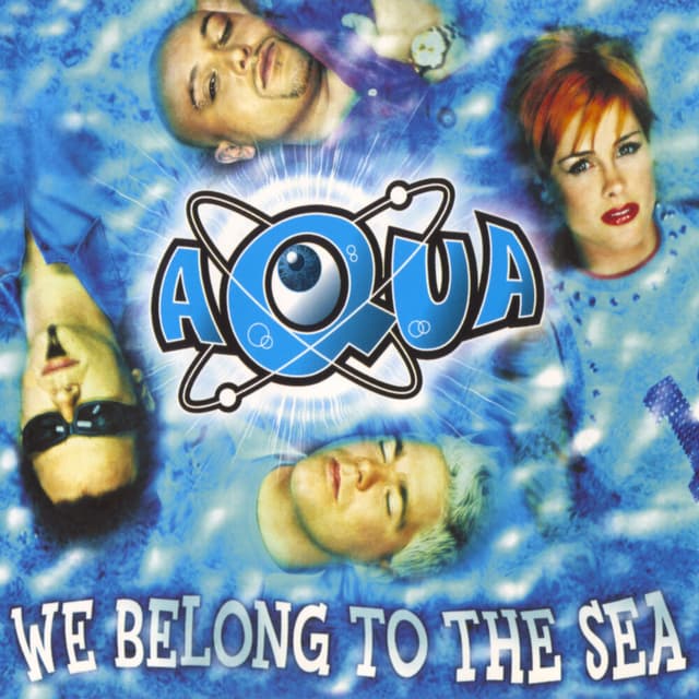 We Belong To The Sea cover