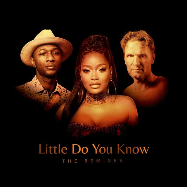 Little Do You Know (The Remixes) cover