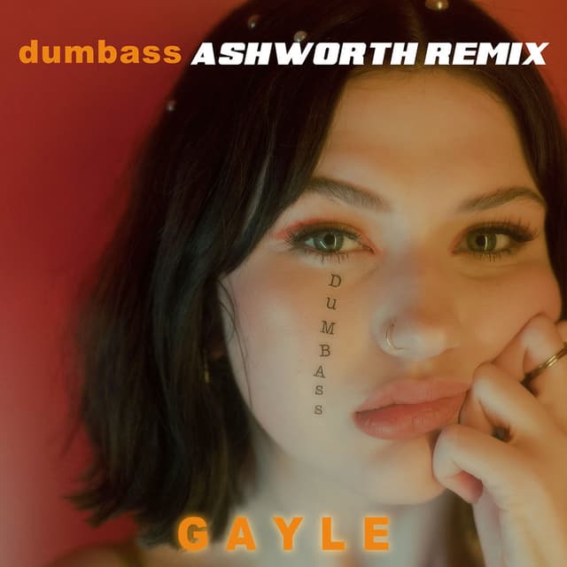dumbass (Ashworth Remix) cover