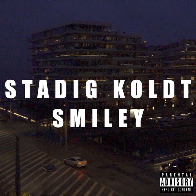 Stadig Koldt cover