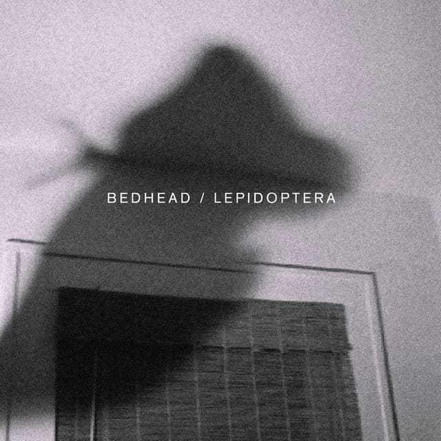 Lepidoptera cover