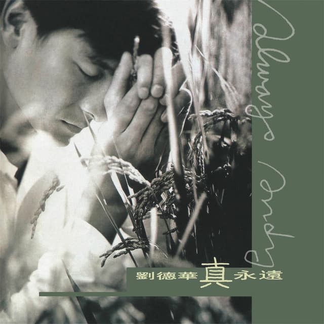 Zhen Yong Yuan cover