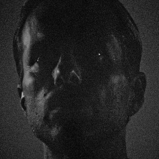 We Are All Insane cover