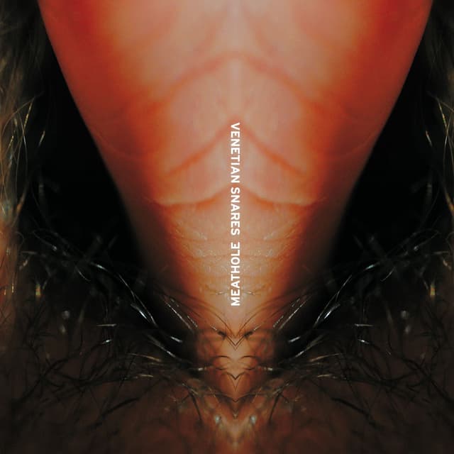 Meathole cover
