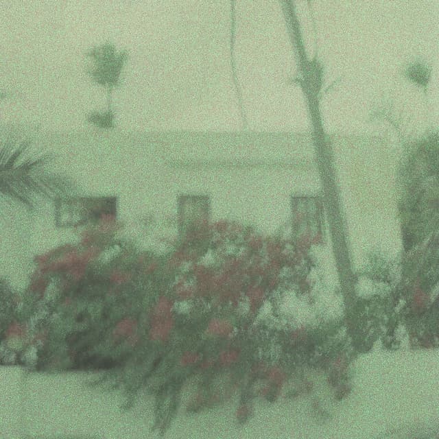 Amour / 22 cover