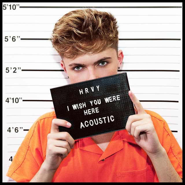I Wish You Were Here (acoustic) cover