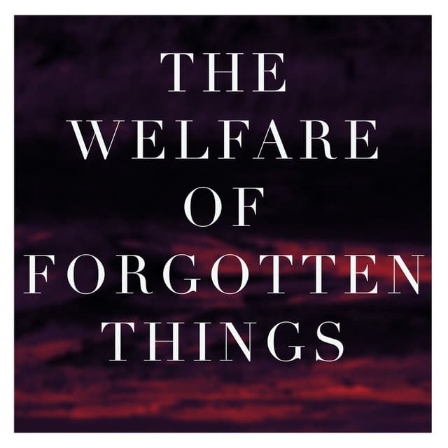 THE WELFARE OF FORGOTTEN THINGS cover