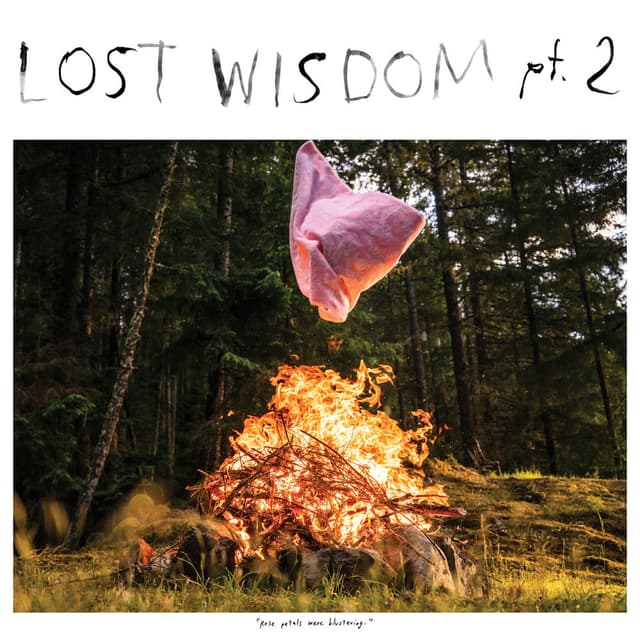 Lost Wisdom, Pt. 2 cover