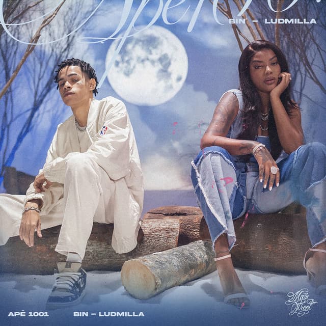 Apê 1001 cover