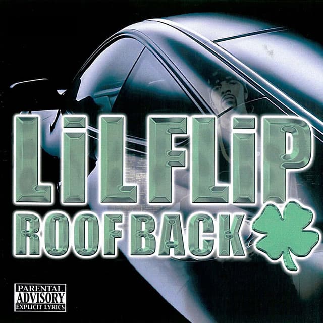 Roof Back cover