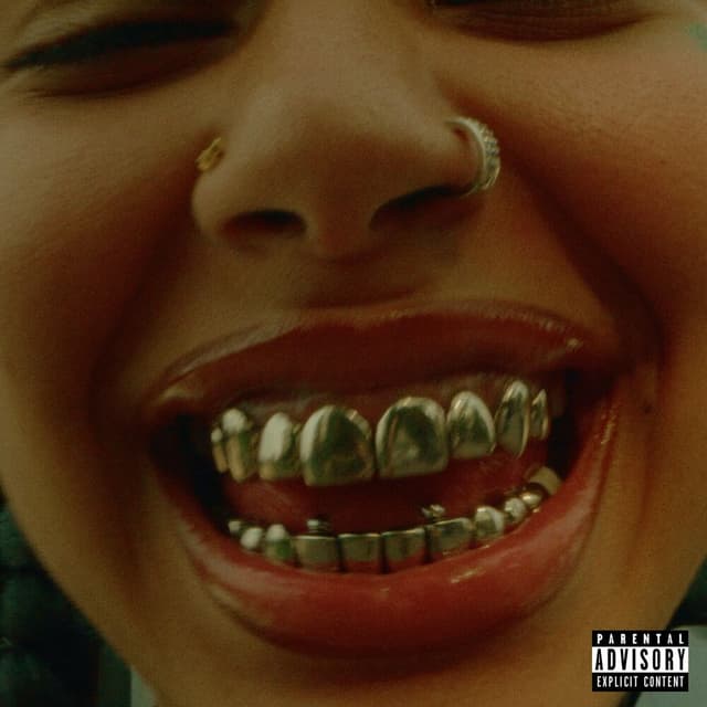 Slide cover