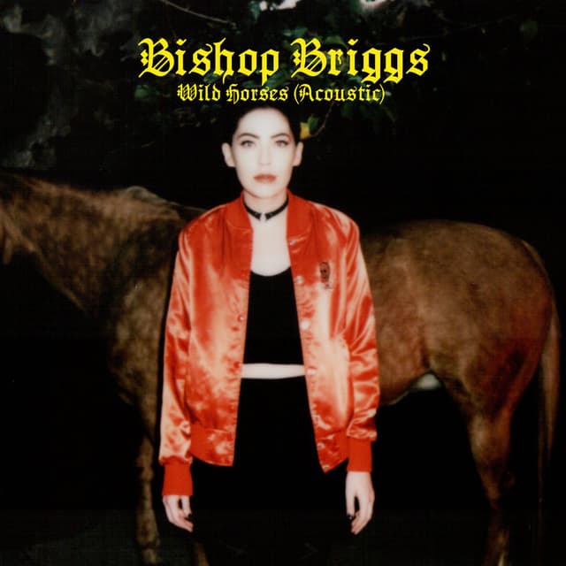 Wild Horses (Acoustic) cover