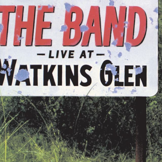 Live At Watkins Glen (Live) cover
