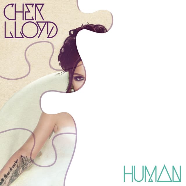 Human cover