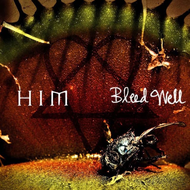 Bleed Well cover