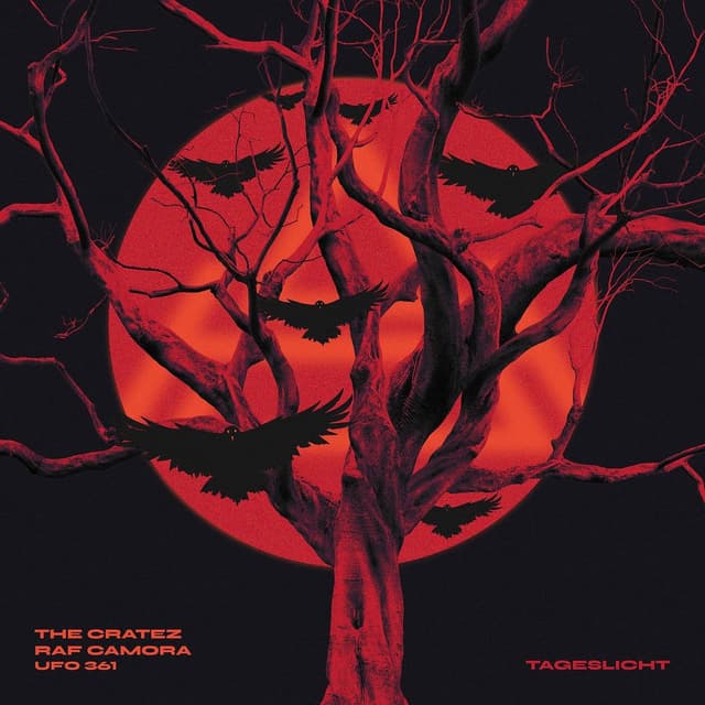 Tageslicht cover