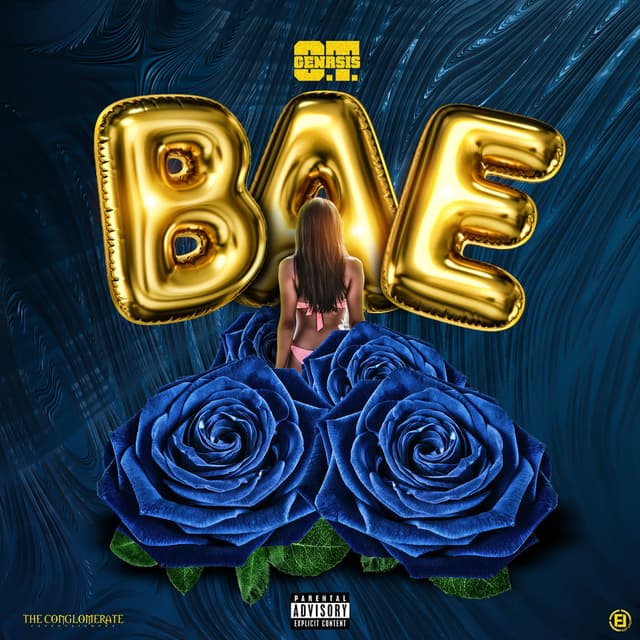 Bae cover