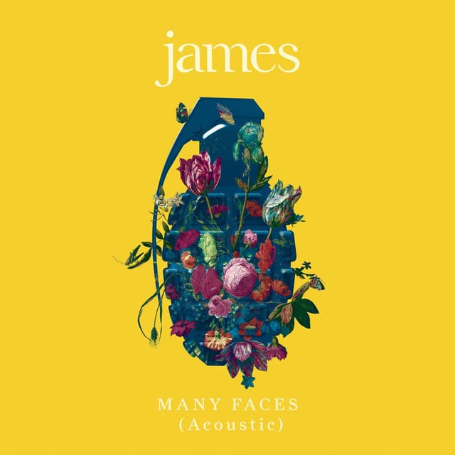 Many Faces (Acoustic) cover