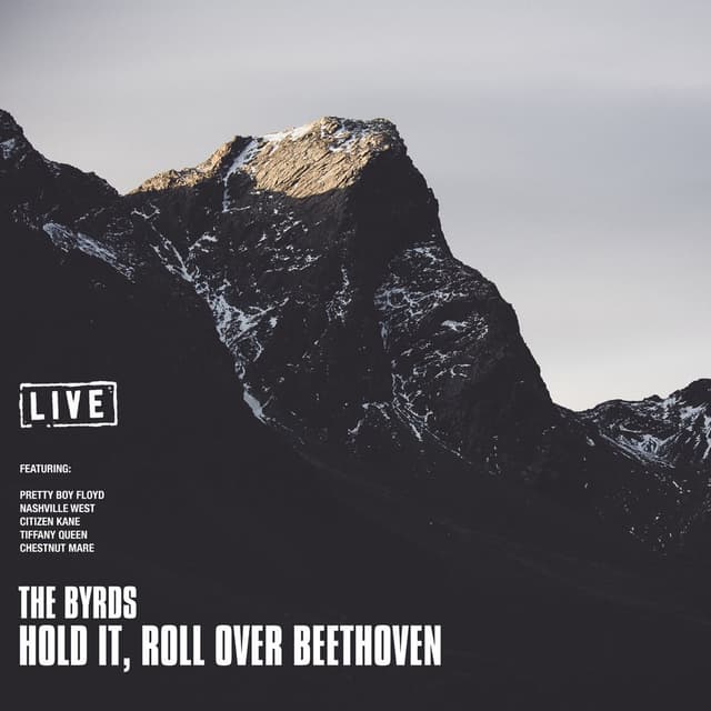 Hold It, Roll Over Beethoven (Live) cover