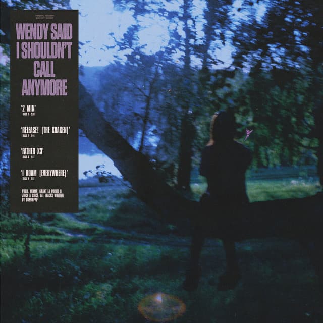 Wendy Said I Shouldn't Call Anymore cover