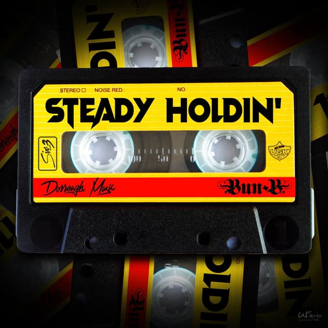 Steady Holdin cover