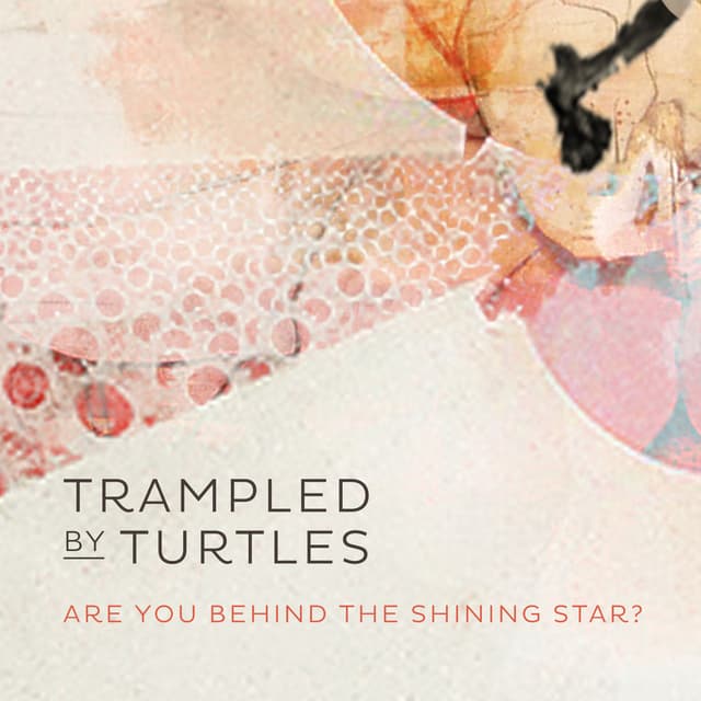 Are You Behind the Shining Star? cover