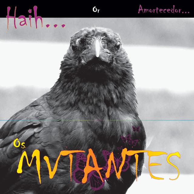 Haih or amortecedor cover