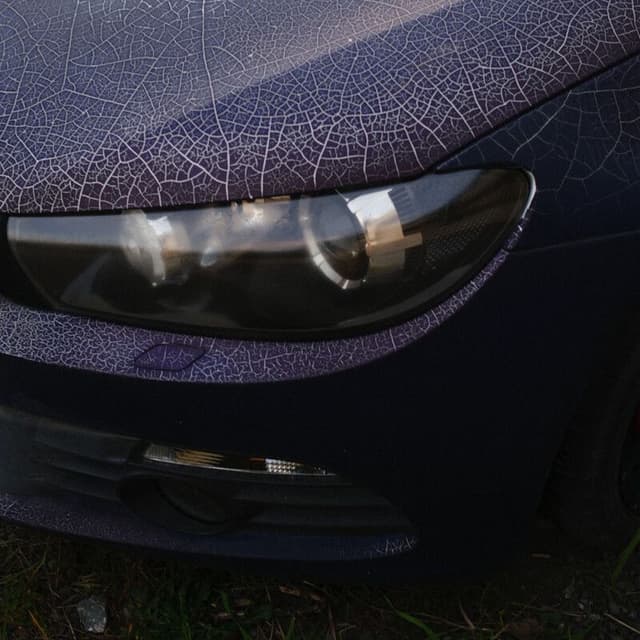 DING THE MOTOR cover