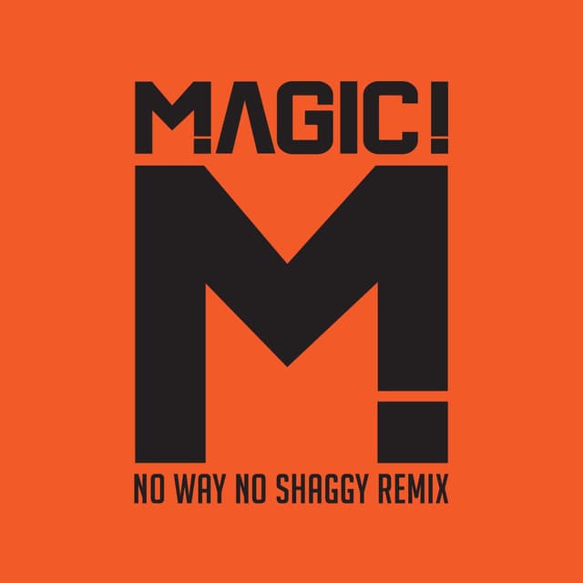 No Way No (feat. Shaggy) (Native Wayne Jobson and Barry O'Hare Remix) cover