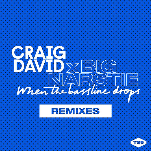 When the Bassline Drops (Remixes) cover