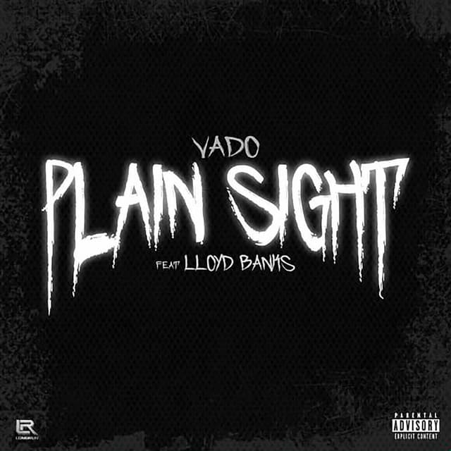 Plain Sight album cover