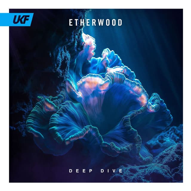 Deep Dive cover